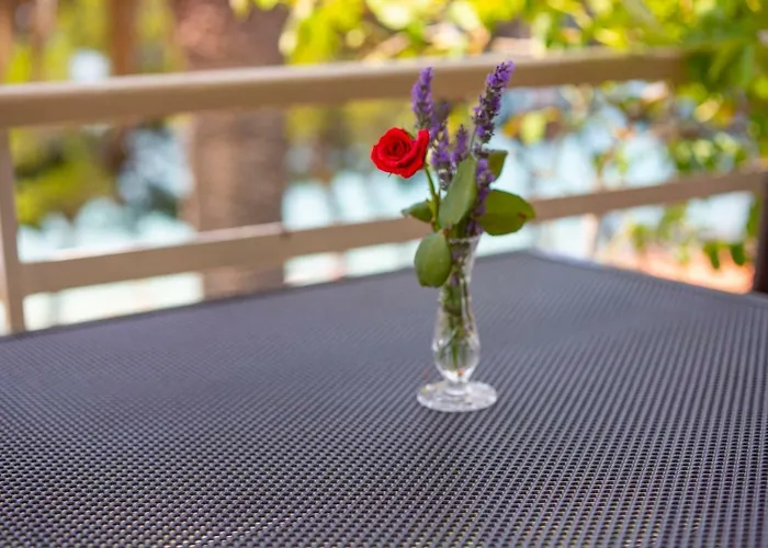 Vila Niko Макарська