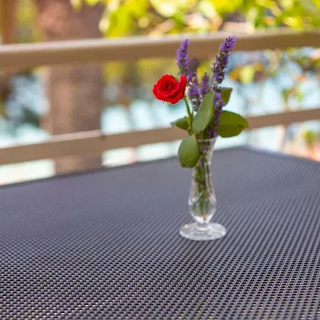 Vila Niko מאקרסקה